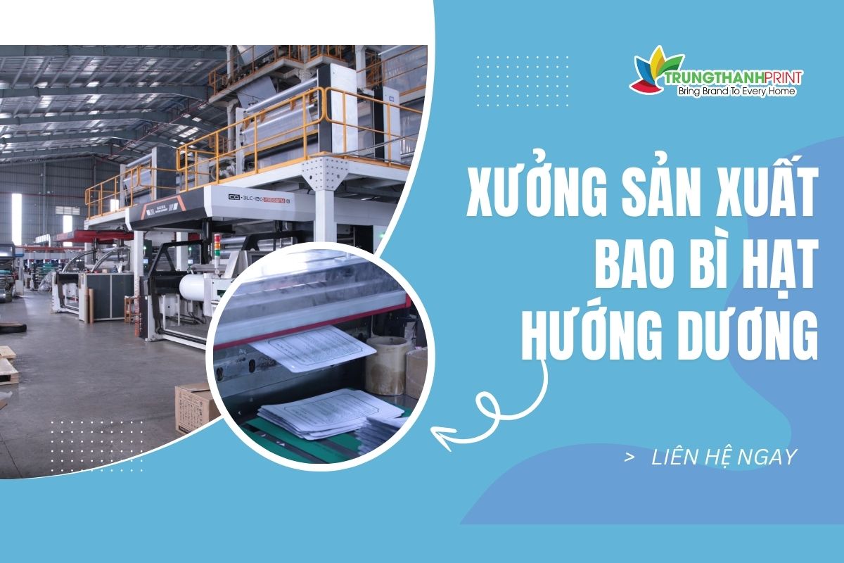 bao-bi-hat-huong-duong.jpg (126 KB)