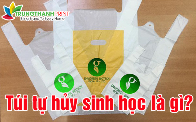 Mẫu túi tự hủy sinh học