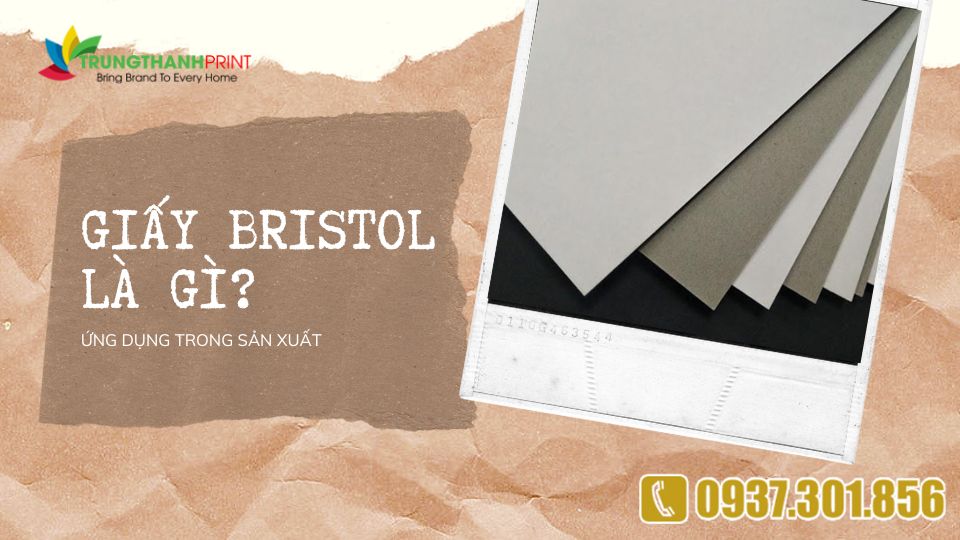 Giấy Bristol là gì? Ứng Dụng Trong Ngành In Ấn