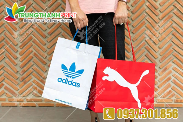 tui giay adidas 11